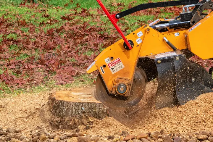 Stump grinder breaking down a stump in San Jose and the Southern Santa Clara Valley by Anderson's Tree Care Specialists