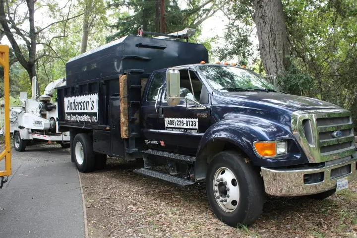 Anderson's Tree Care Specialists in San Jose and the Southern Santa Clara Valley