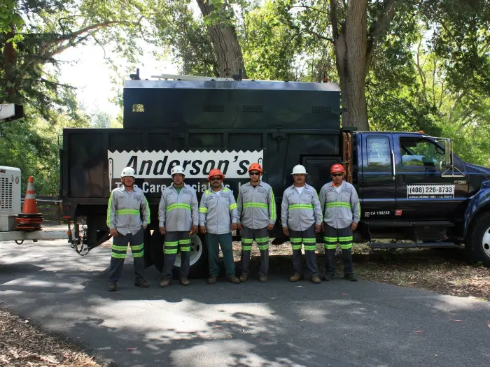 Local arborists in San Jose and the Southern Santa Clara Valley | Anderson's Tree Care Specialists