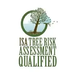 Anderson's Tree Care Specialist is Tree Risk Assessment Qualified in San Jose CA