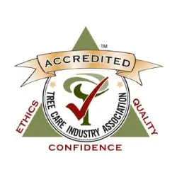 Anderson's Tree Care Specialists is accredited with Tree Care Industry Association