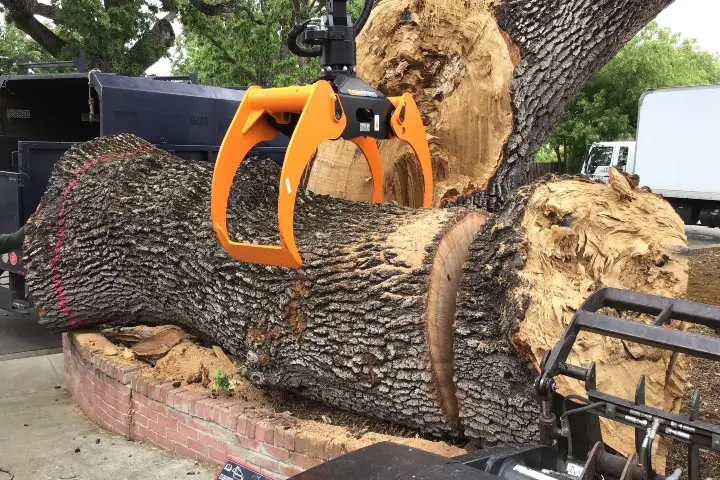 Emergency tree removal by Anderson's Tree Care Specialists in San Jose and the Southern Santa Clara Valley